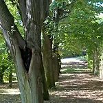 Szálloda Chateau De Varenne 4*